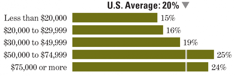 Birdwatching Participation Rate by Income Group