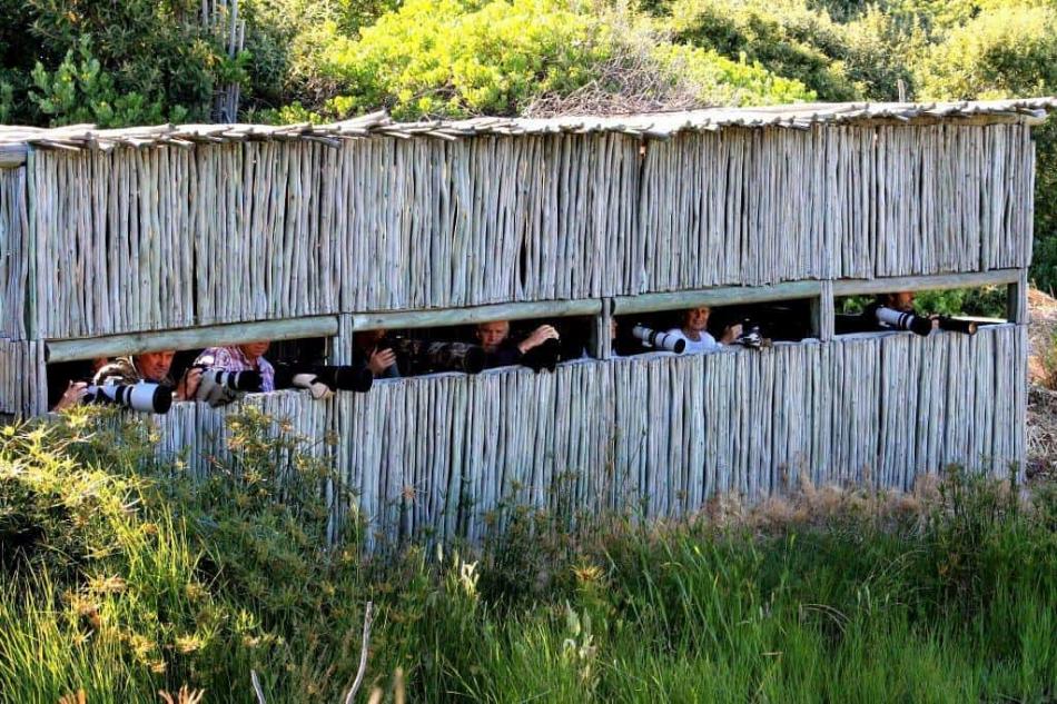 Intaka Island bird hide, Cape Town