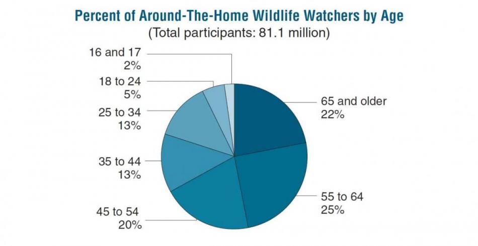 Percent of Around-The-Home Wildlife Watchers bu Age