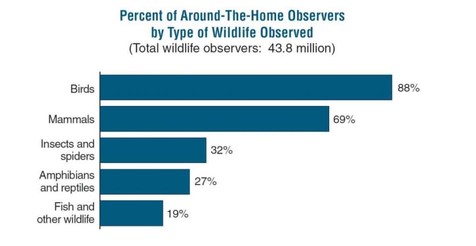 Percent of Around-The-Home Observers by Type of Wildlife Observed