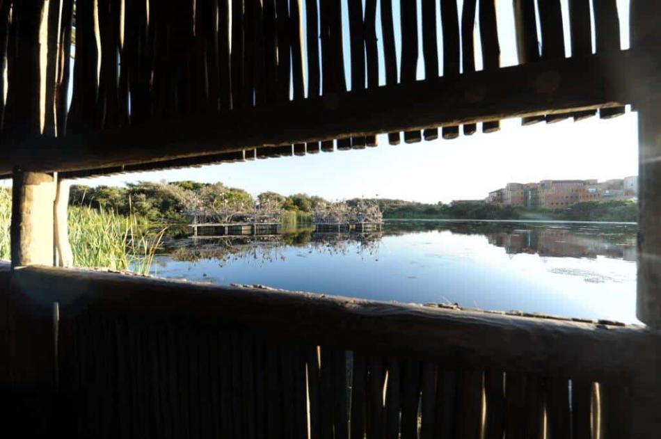Intaka Island bird hide, Cape Town