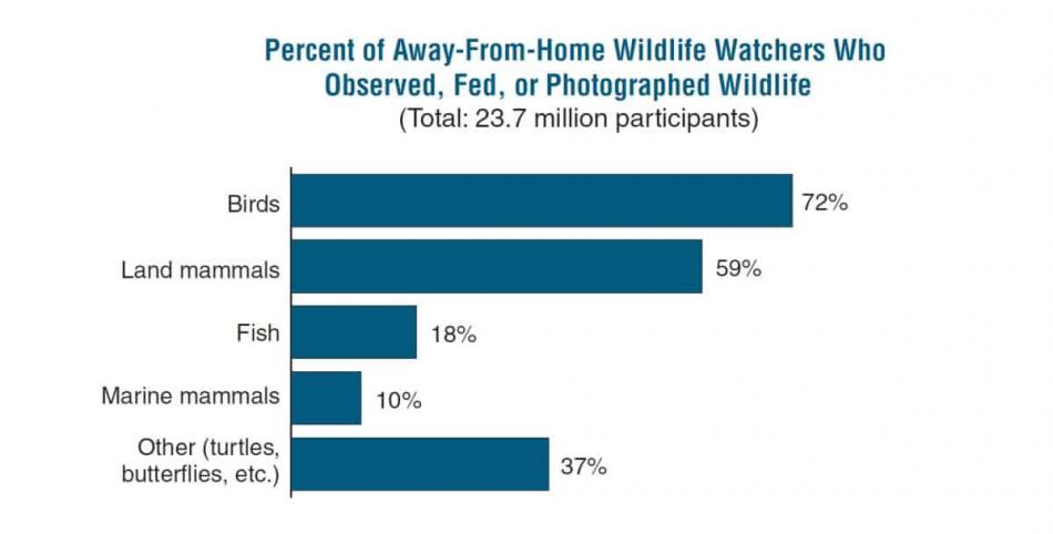 Percent of Away-From-Home Wildlife Watchers Who Observed, Fed, or Photographed Wildlife