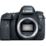 Camera to start birdwatching - Canon 6D Mark II
