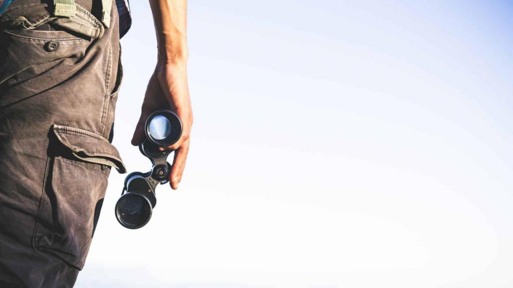 8x or 10x birding binoculars? » Chirp Birding The Social Network for