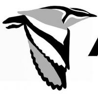 African Bird Club