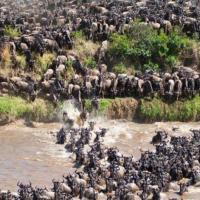 Inspire Travel Partners