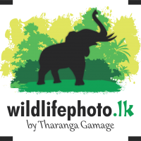 Wildlifephoto.lk