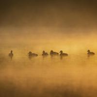Urban Lake Photography