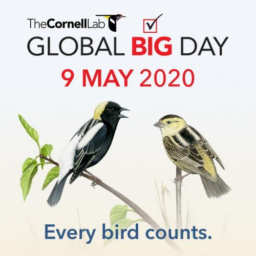 global-big-day-2020