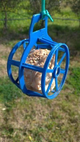 Bird Feeder with ball of fat